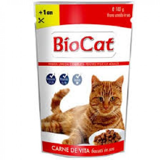 BIOCAT KEDİ KONSERVESİ - HİNDİLİ 100 GR.