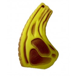 EMİR KÖPEK OYUNCAĞI - PET TOY BİFTEK KÖPEK  DG 3066 EMİR KÖPEK OYUNCAĞI - PET TOY BİFTEK KÖPEK  DG 3066