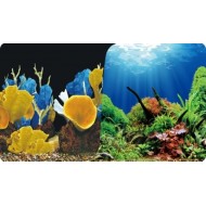 EMİR ARKA FON - 40 CM.