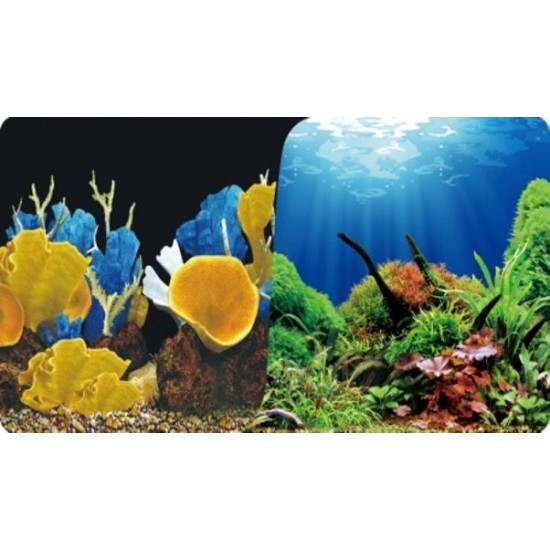 EMİR ARKA FON - 40 CM.