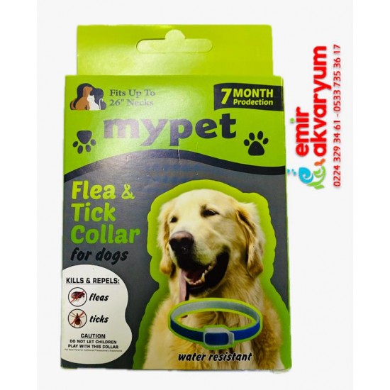 KÖPEK BAKIM ÜRÜNLERİ - MYPET KÖPEK PİRE KENE TASMASI 