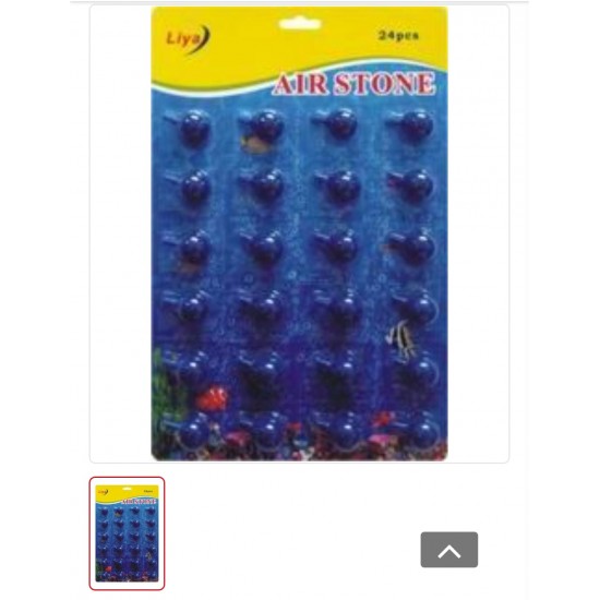 LİYA HAVA TAŞI - 24 LÜ YUVARLAK