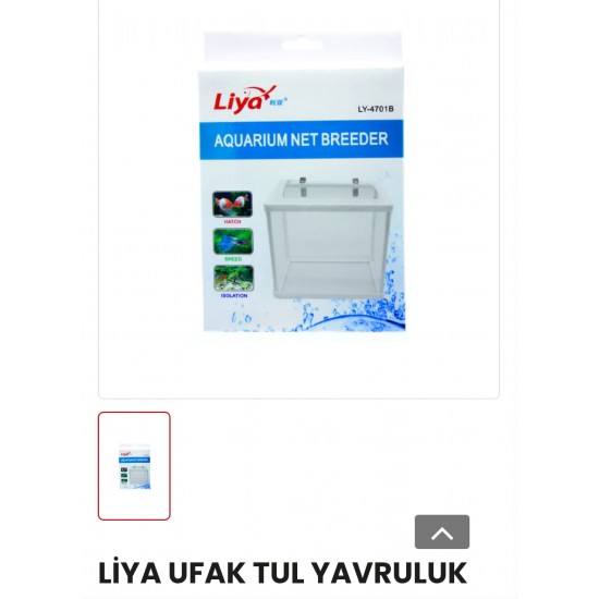 LİYA AKVARYUM YAVRULUĞU - TÜL YAVRULUK HASS