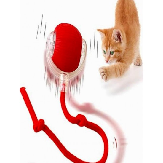 EMİR KEDİ OYUNCAĞI - USB ŞARJLI P02