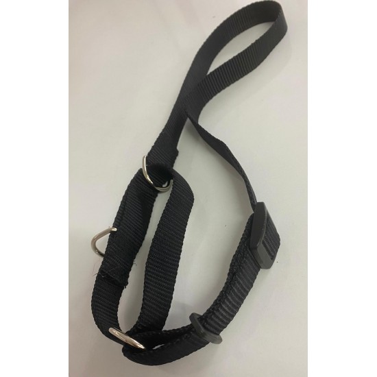 EMİR KÖPEK TASMA - ZİRVE BOYUN EĞİTİM İTHAL